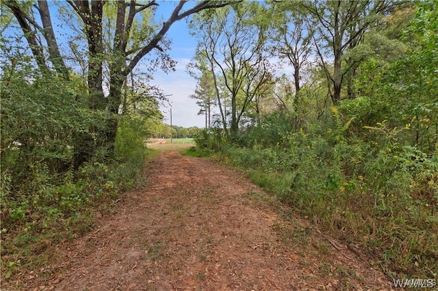 11 County Road 21, Moundville, AL 35474 - photo 10