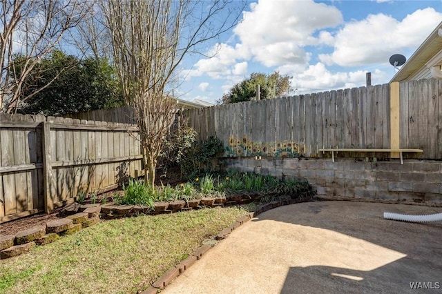 view of yard with a patio area and a fenced backyard