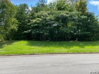 108 Lake Cove Dr, Tuscaloosa, AL 35406 - photo 4