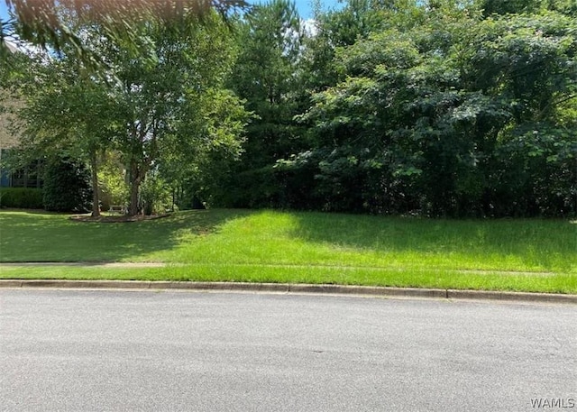 108 Lake Cove Dr, Tuscaloosa, AL 35406 - photo 2