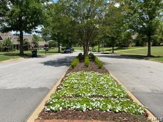108 Lake Cove Dr, Tuscaloosa, AL 35406 - photo 5