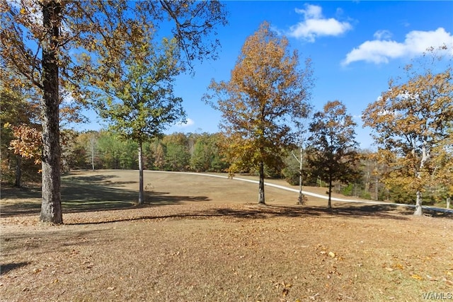 1038 Cahaba Rdg, Centreville, AL 35042 - photo 5