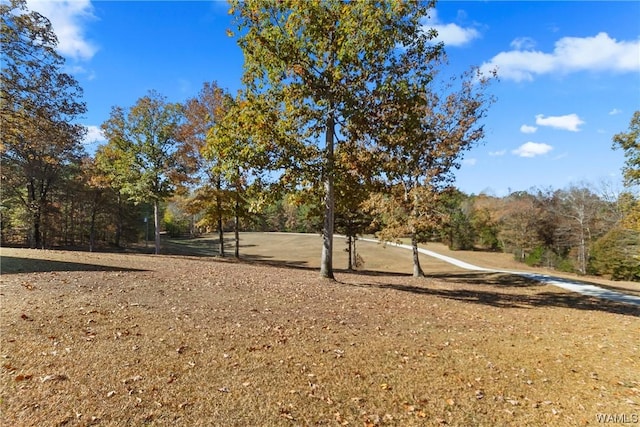 1038 Cahaba Rdg, Centreville, AL 35042 - photo 4