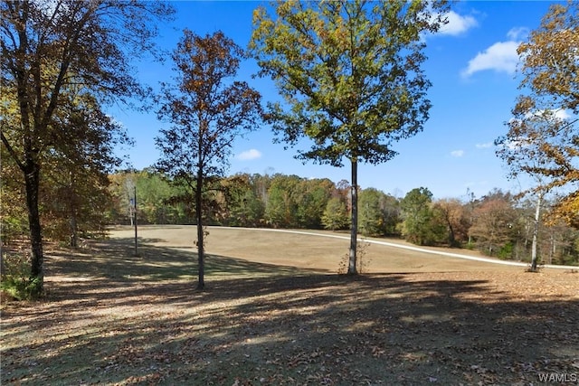 1038 Cahaba Rdg, Centreville, AL 35042 - photo 48