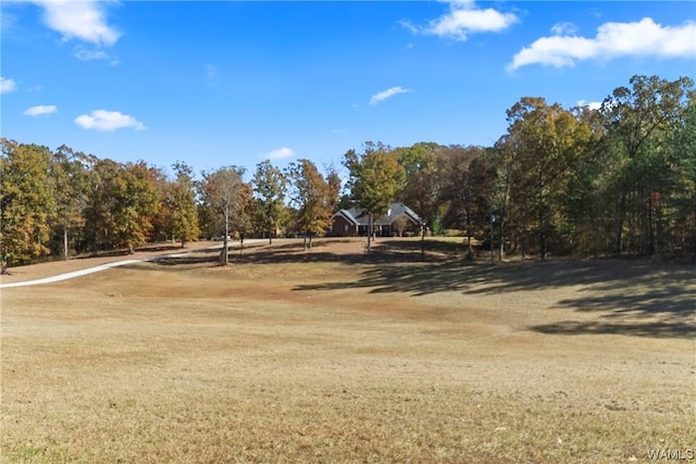 1038 Cahaba Rdg, Centreville, AL 35042 - photo 2