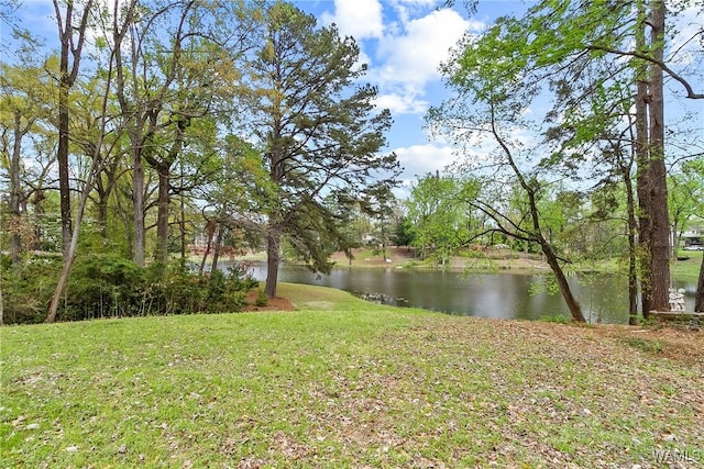 933 Overlook Rd N, Tuscaloosa, AL 35406 - photo 49