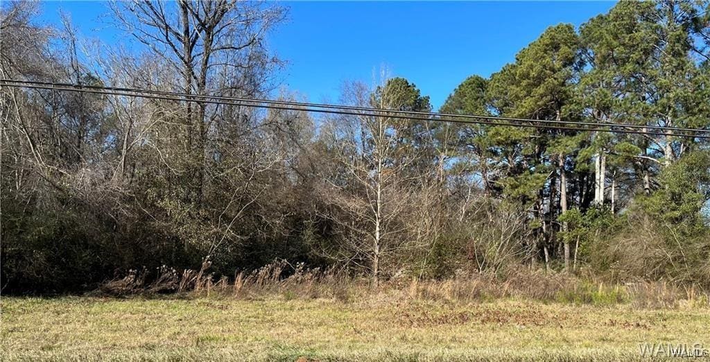 3336 Culver Rd, Tuscaloosa, AL 35401