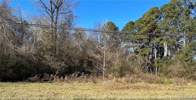 3336 Culver Rd, Tuscaloosa, AL 35401
