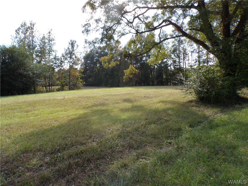 000 Lee Rd, Tuscaloosa, AL 35401 - photo 3