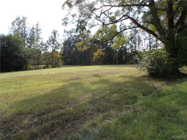 000 Lee Rd, Tuscaloosa, AL 35401 - photo 3