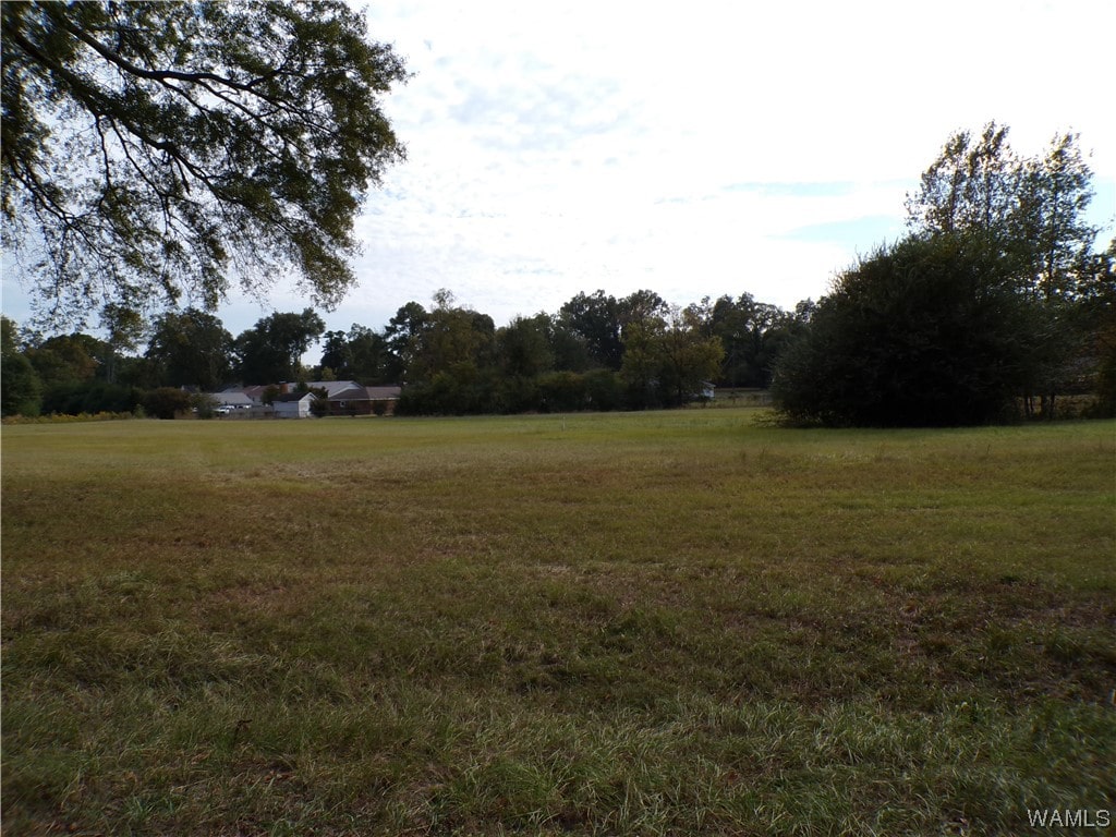 000 Lee Rd, Tuscaloosa, AL 35401 - photo 4