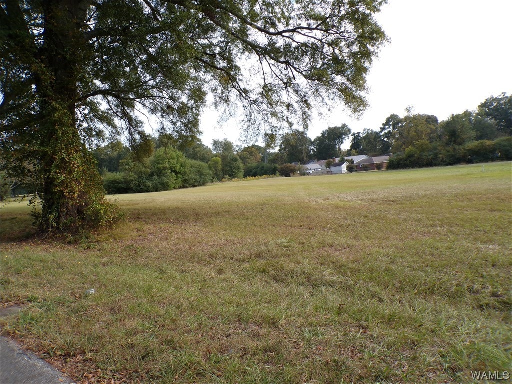 000 Lee Rd, Tuscaloosa, AL 35401 - photo 2