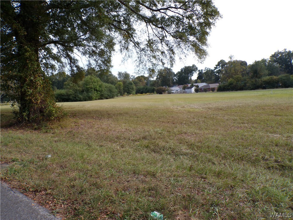 000 Lee Rd, Tuscaloosa, AL 35401 - photo 1
