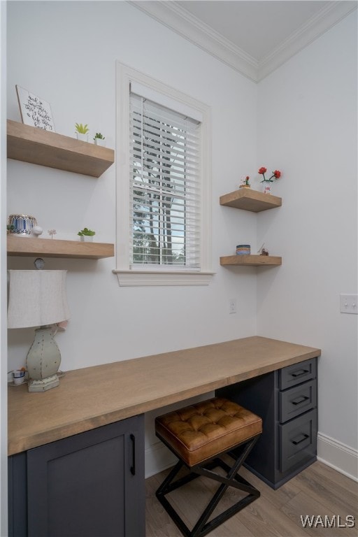 home office with crown molding and light hardwood / wood-style flooring