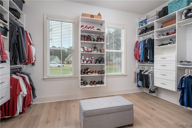 spacious closet with light wood-type flooring