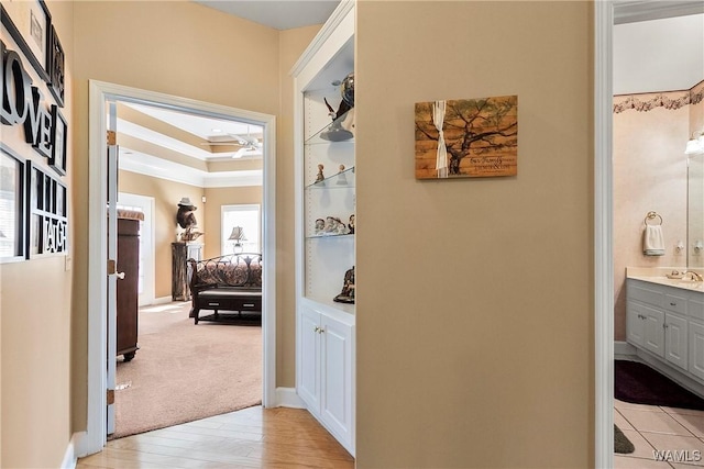 corridor featuring light colored carpet, a sink, baseboards, light wood-type flooring, and a tray ceiling