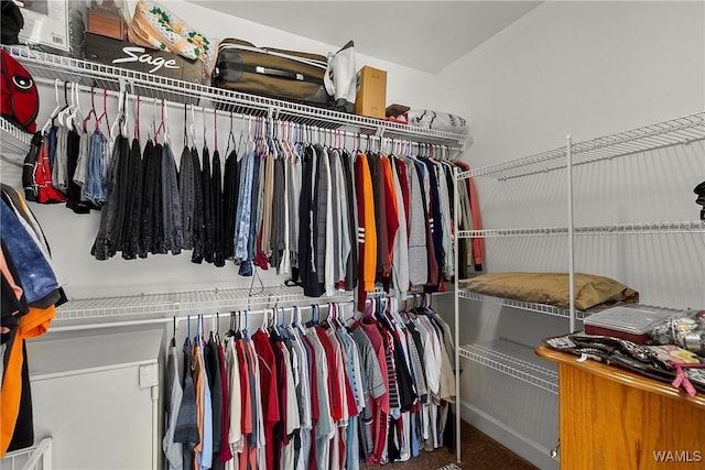 walk in closet with carpet