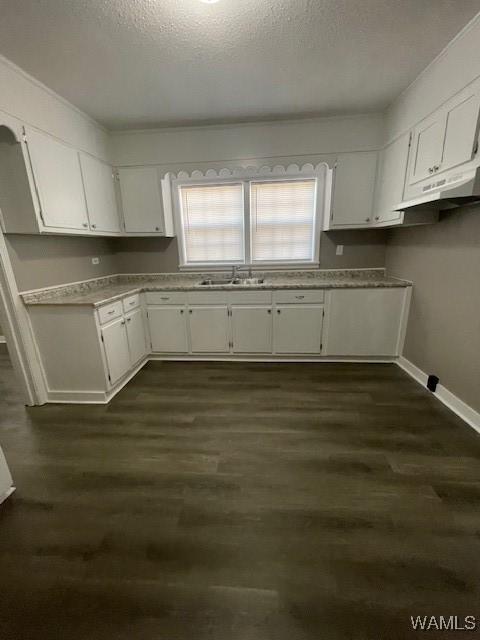 kitchen with a wealth of natural light, dark wood-style floors, white cabinets, and a sink