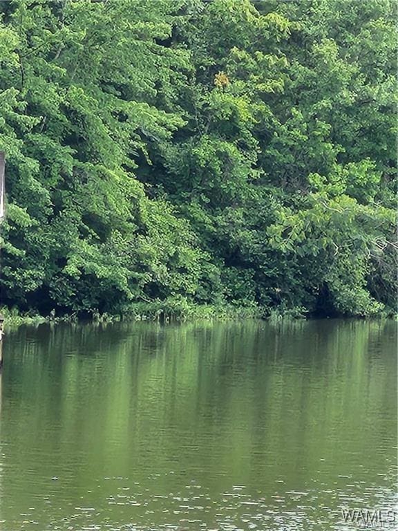 0 Dema Rest Spur, Northport, AL 35475