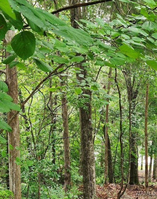0 Dema Rest Spur, Northport, AL 35475