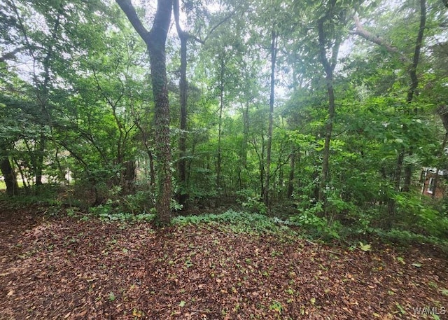 0 Dema Rest Spur, Northport, AL 35475