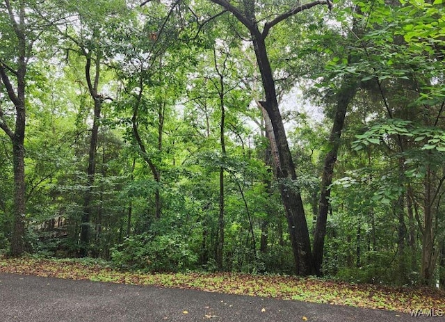 0 Dema Rest Spur, Northport, AL 35475
