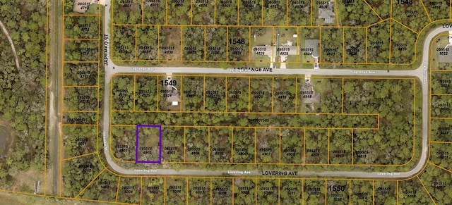 Lovering Ave, North Port, FL 34286 - photo 3