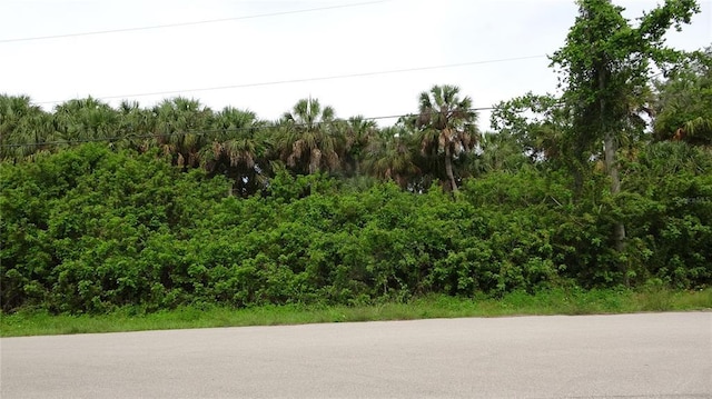 Listing photo 2 for Kane St, North Port FL 34288