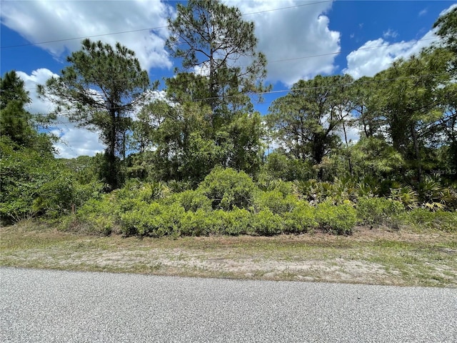 Edmiston Ave, North Port FL, 34291 land for sale