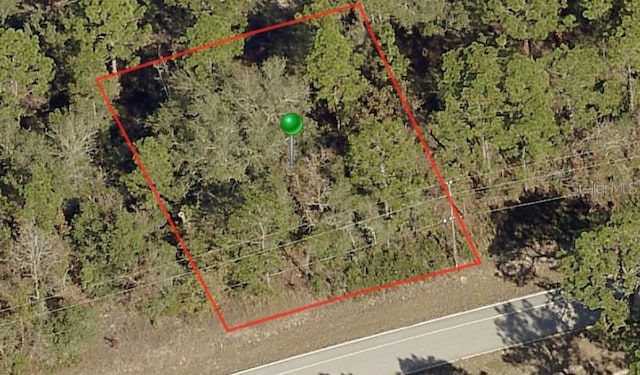 9234 N Citrus Springs Blvd, Citrus Springs FL, 34433 land for sale