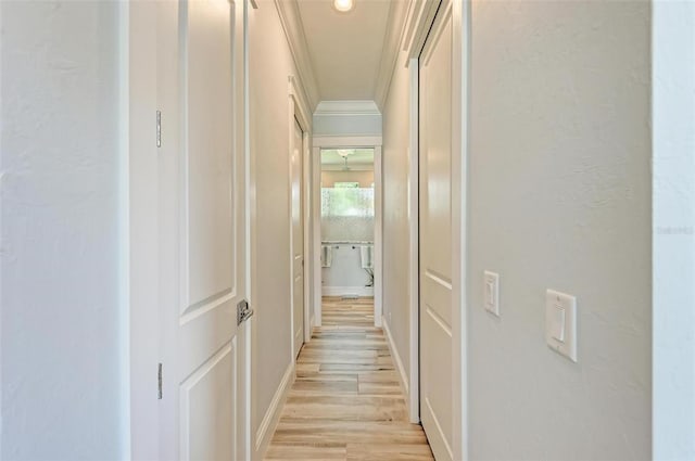 hall featuring light hardwood / wood-style flooring and crown molding