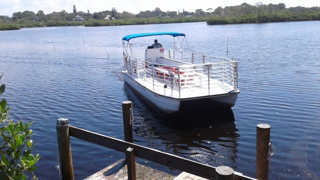 dock area with a water view