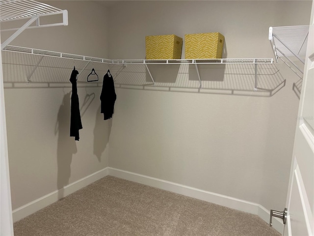 walk in closet with carpet