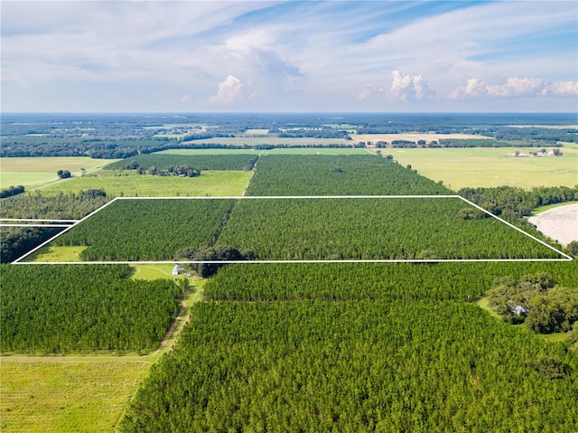 19000 County Road 349, Obrien, FL 32071 - photo 1