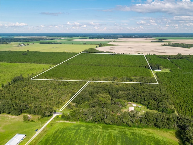 19000 County Road 349, Obrien, FL 32071 - photo 2