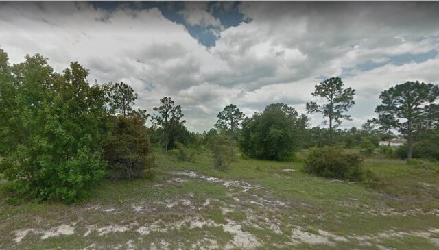 1319 Congo Dr, Poinciana, FL 34759 - photo 1