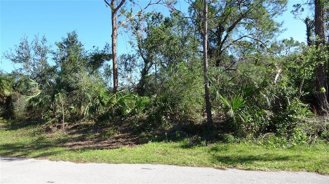 Fears St, North Port FL, 34288 land for sale