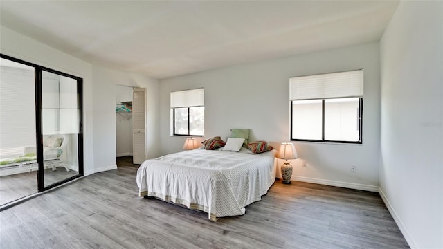 bedroom featuring wood-type flooring