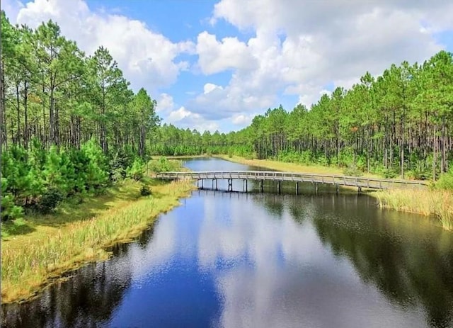 Listing photo 3 for Creek Pines Cir, Wewahitchka FL 32465