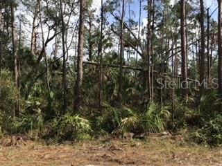 Ripley St, North Port, FL 34286