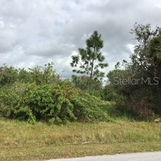 Perennial Rd, North Port FL, 34291 land for sale