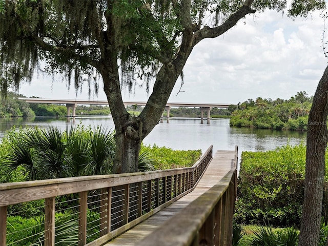 dock area with a water view