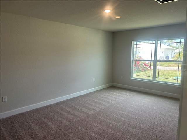 carpeted spare room with a wealth of natural light