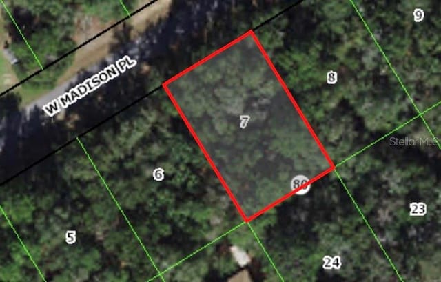 Address Not Disclosed, Springs FL, 34434 land for sale