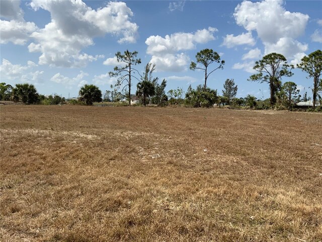 2113 NE 43rd Ln, Cape Coral, FL 33909 - photo 4
