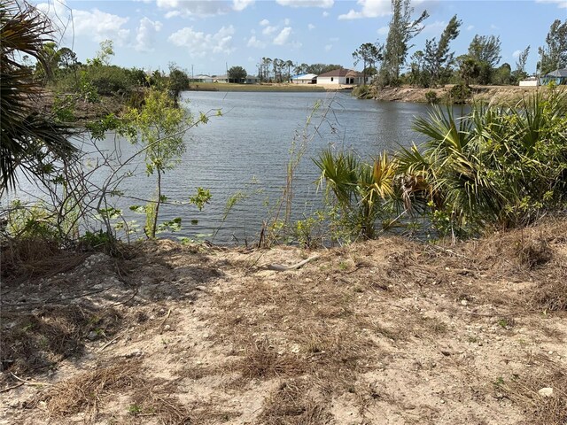 2113 NE 43rd Ln, Cape Coral, FL 33909 - photo 8