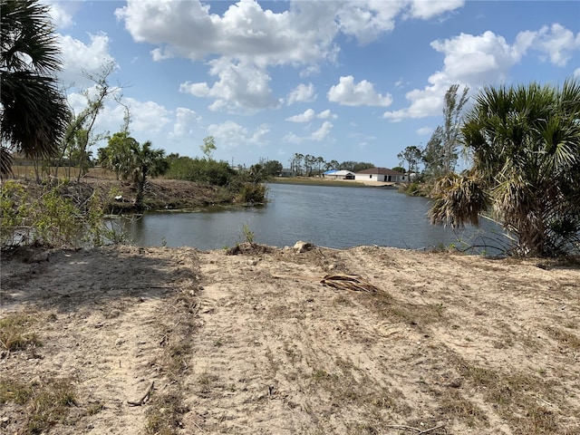 2113 NE 43rd Ln, Cape Coral, FL 33909 - photo 9