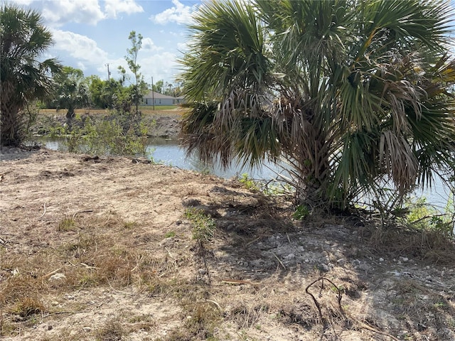 2113 NE 43rd Ln, Cape Coral, FL 33909 - photo 10