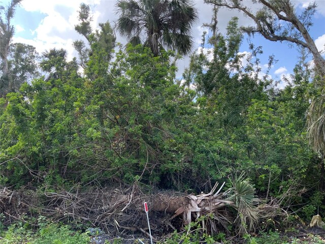 2271 Westwood Rd, North Fort Myers, FL 33917 - photo 4