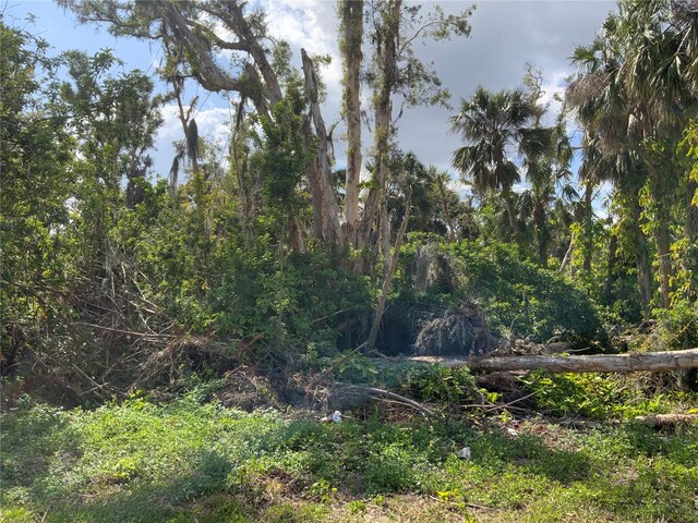 2271 Westwood Rd, North Fort Myers, FL 33917 - photo 5